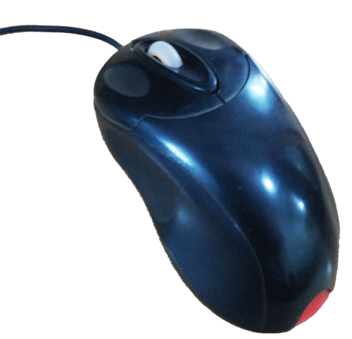Mouse