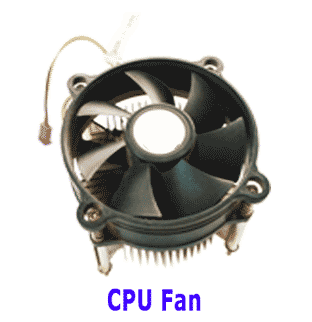 CPU Fan